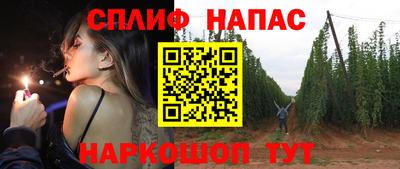 прущие грибы Чебоксары