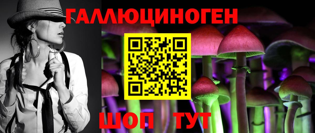Галлюциногенные грибы Psilocybine cubensis Белебей