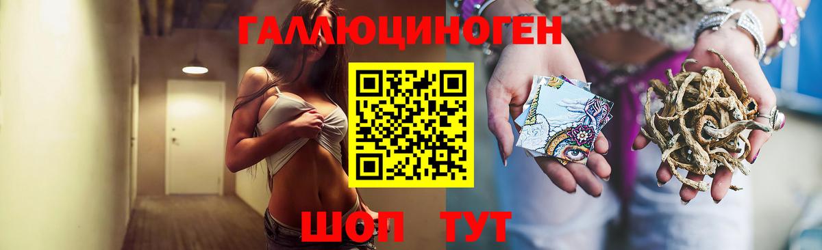где можно купить   Вход с VPN  Белебей  Псилоцибиновые грибы Psilocybe 